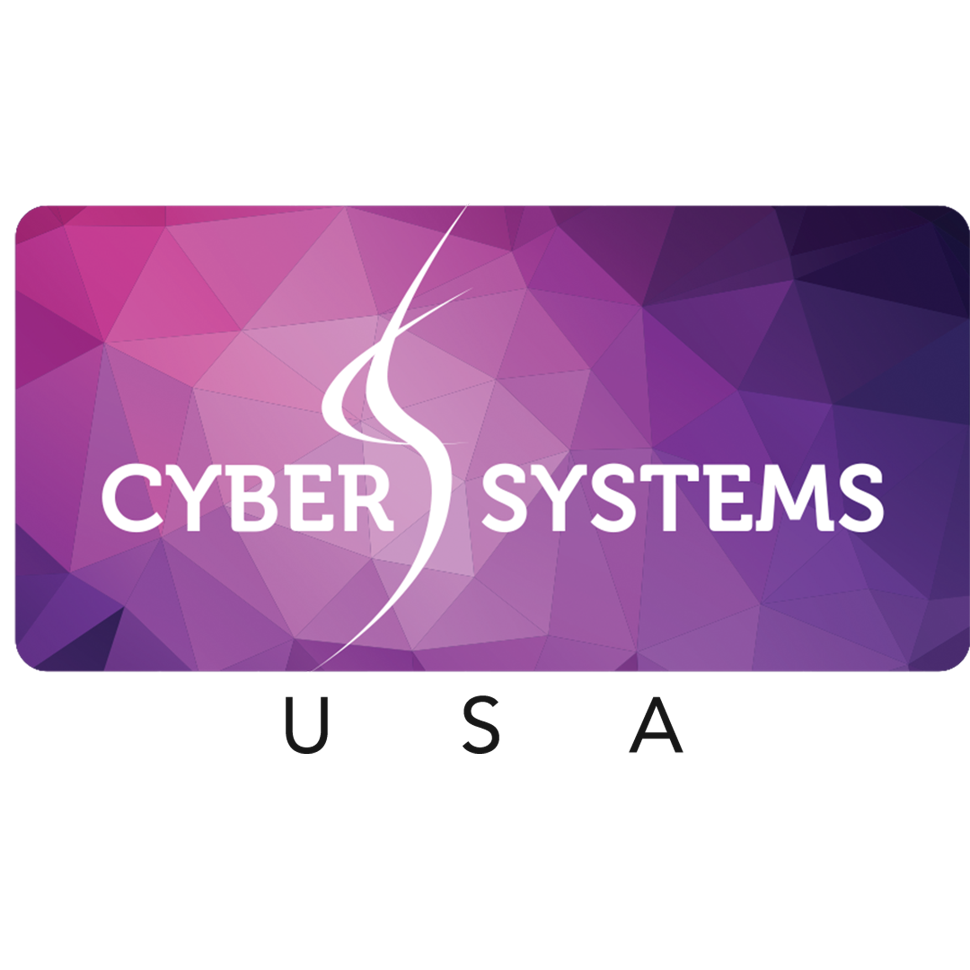 Cyber Systems USA logo